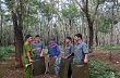 Nạn trộm mủ cao su ở Bình Dương diễn biến phức tạp